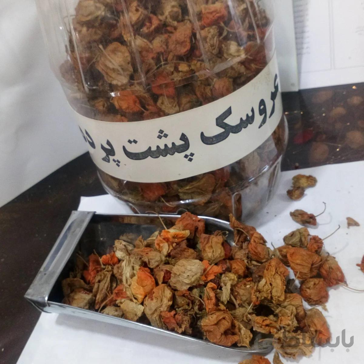 عروسک پشت پرده ( کاکنج)