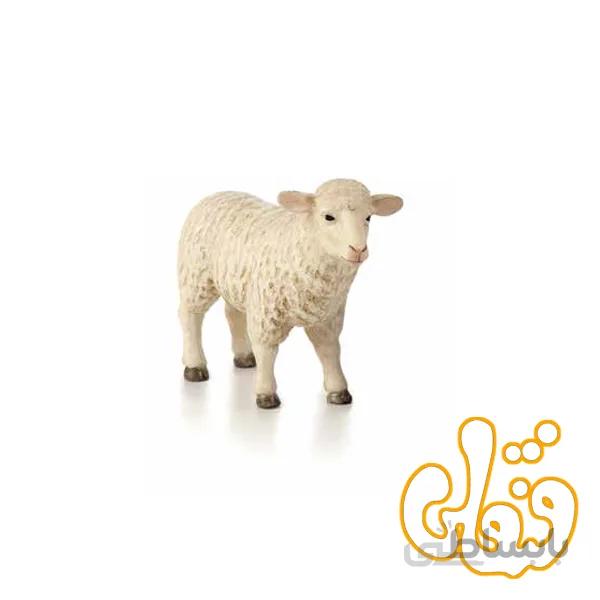 گوسفند میش ماده 387096 Sheep Ewe