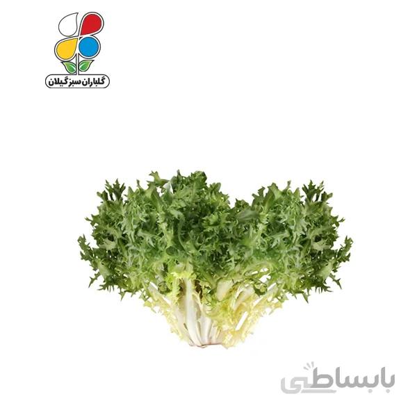 بذر کاسنی بسته 3 عددی مدل GPSH7L