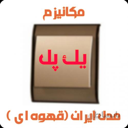 مکانیزم یک پل مدل ایران ( کرم )