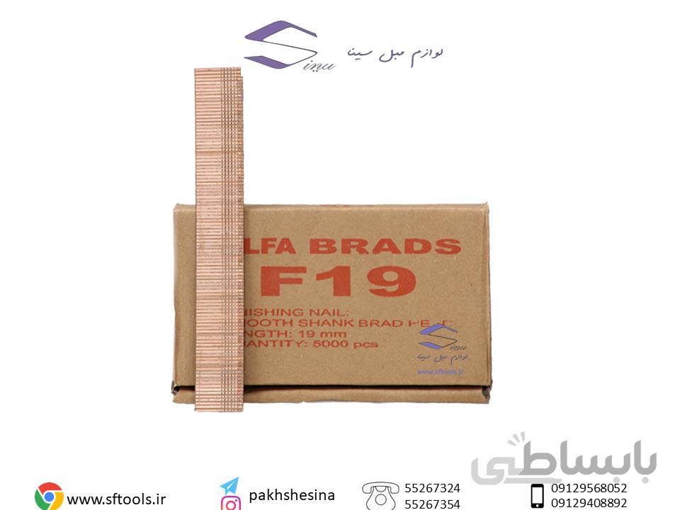 میخ F19