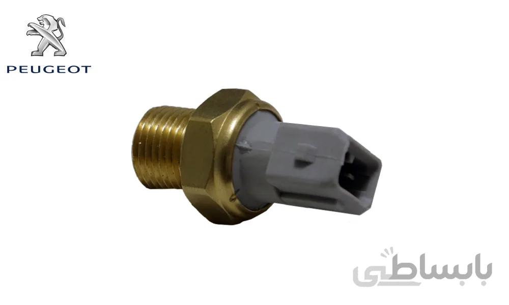 فشنگی روغن پژو 405