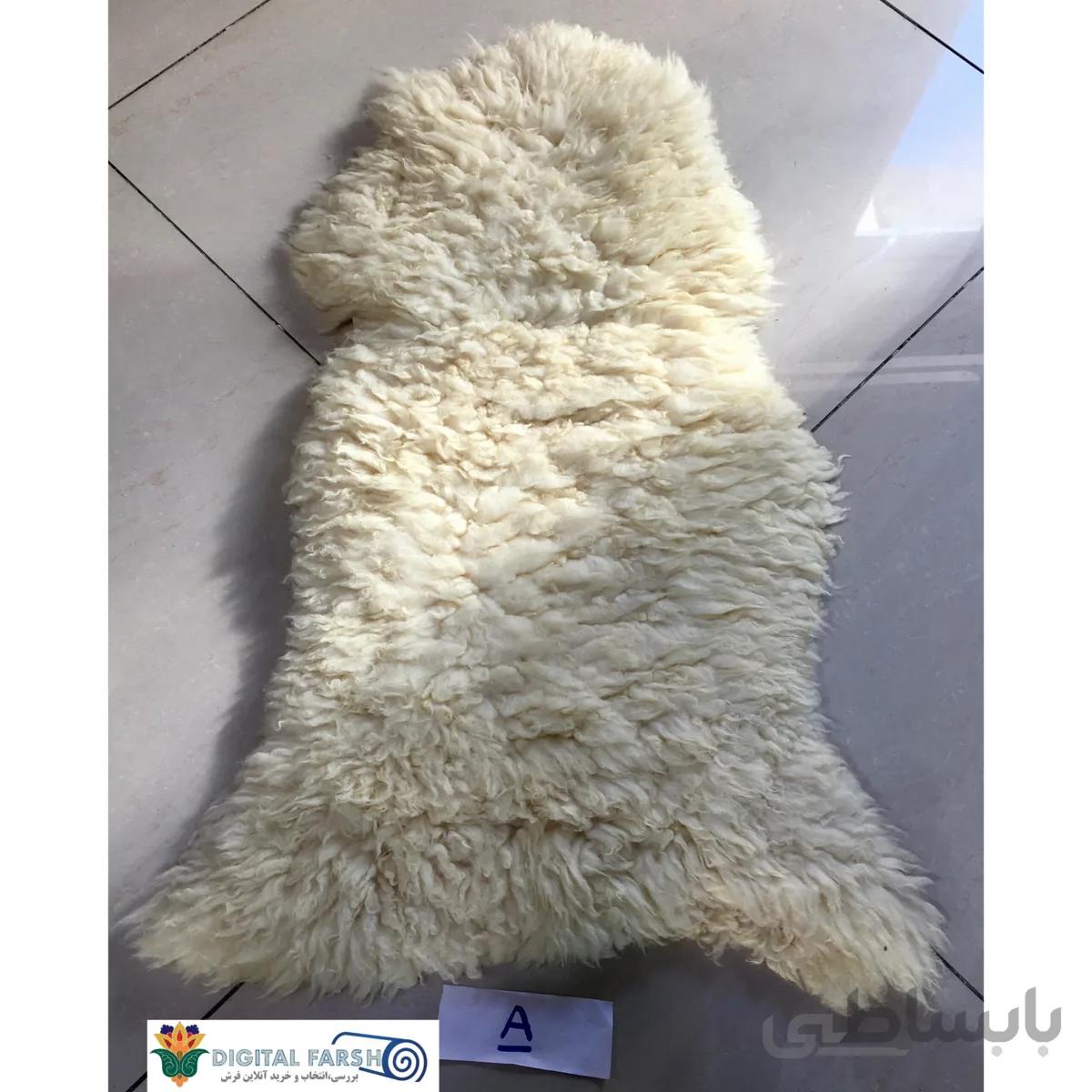 خز طبیعی گوسفند پشمی مرینوس سفید ا sheep wool