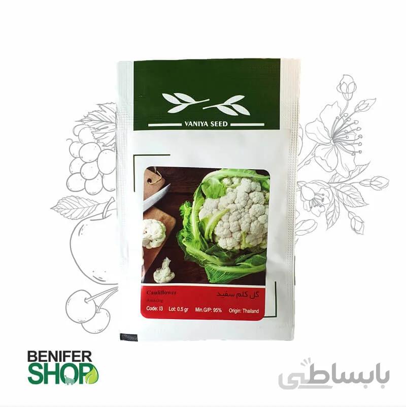 بذر خانگی کلم گل سفید آذر سبزینه