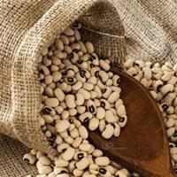 لوبیا چشم بلبلی