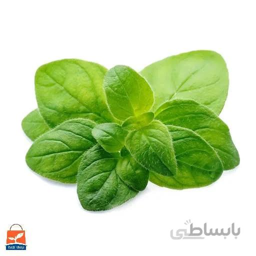 بذر ریحان سبز افغانی