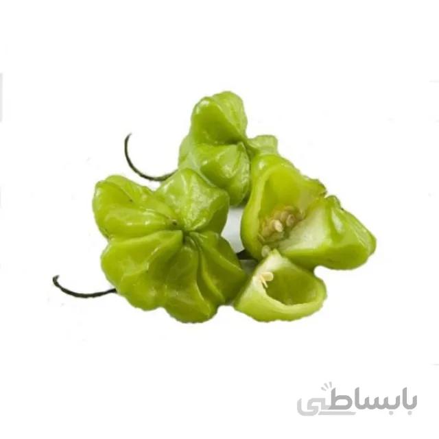 بذر فلفل ستاره ای سبز بسته ۵۰ عددی