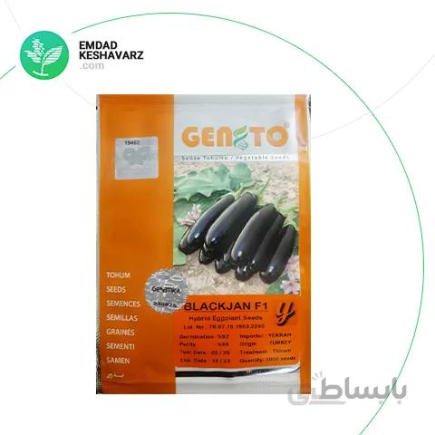 بذر بادنجان هیبرید بلک جان (کارابی) گنتو ترکیه