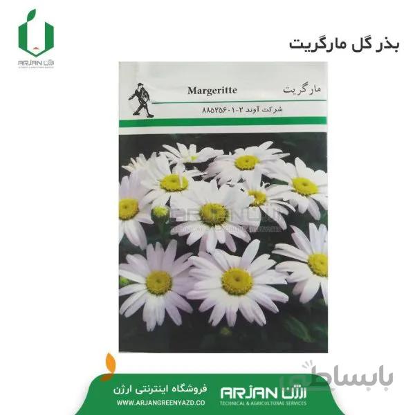بذر گل مارگریت 5 گرمی