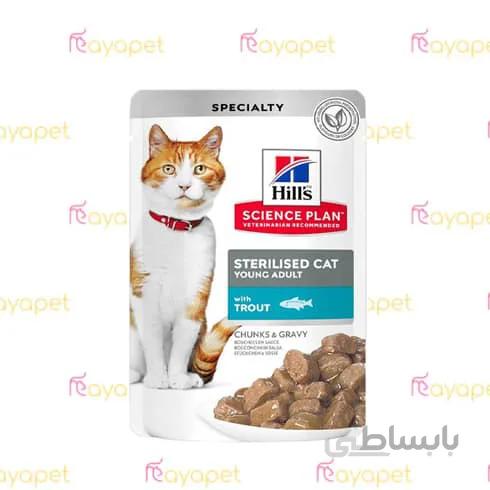 پوچ عقیم شده هیلز قزل آلا 85 گرمی