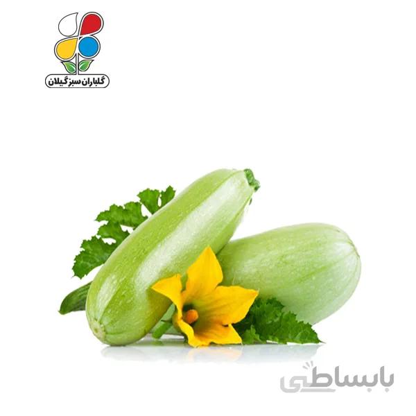 بذر کدو بسته بندی کوچک مدل GPSS7S