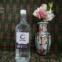 عرق بید
