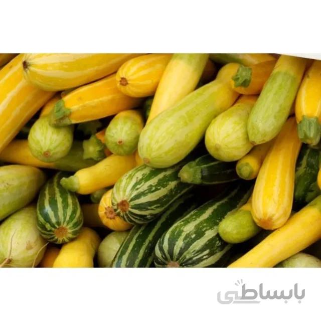 بذر کدو خورشتی میکس بسته ۸ عددی