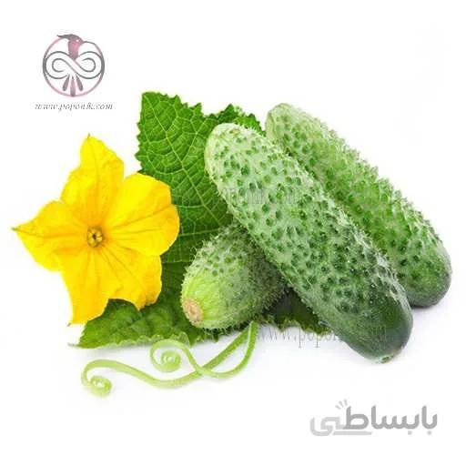 بذر خیار سبز معطر خاردار