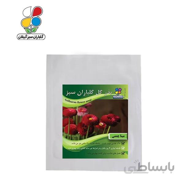 ( بسته 24 عددی ) بذر گل مینا چمنی بسته بندی بزرگ