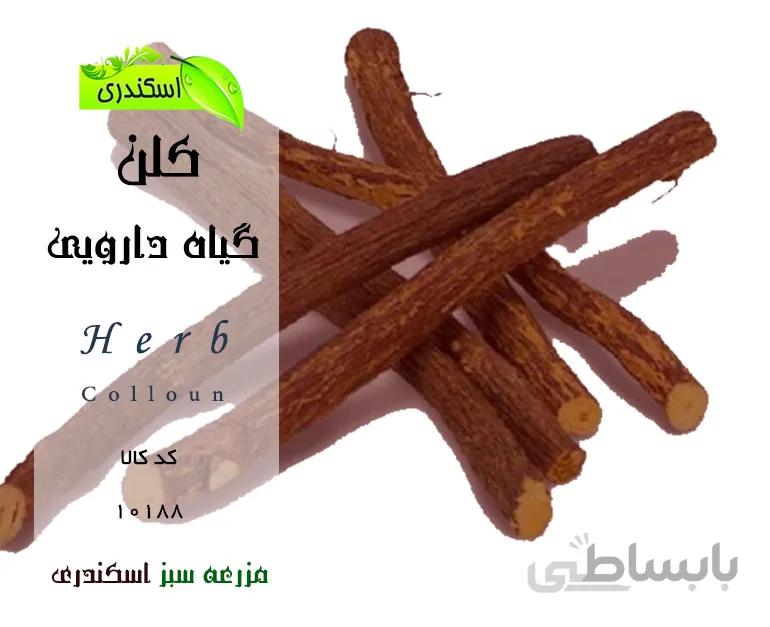 ریشه گیاه کلن