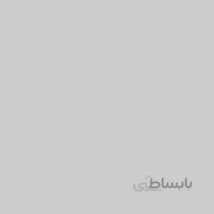 فون کاغذی Savage Widetone Seamless #60 Focus Gray
