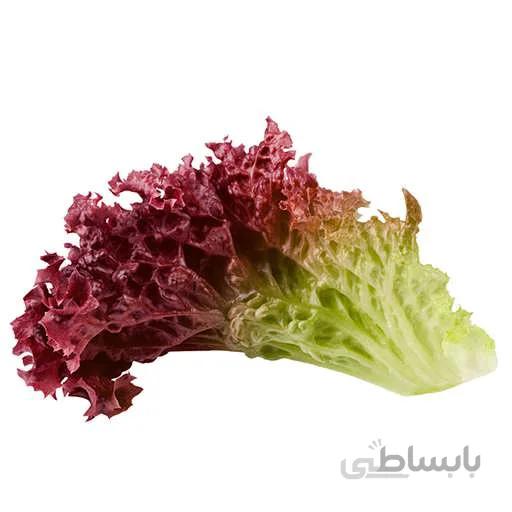 بذر کاهو فرانسوی قرمز