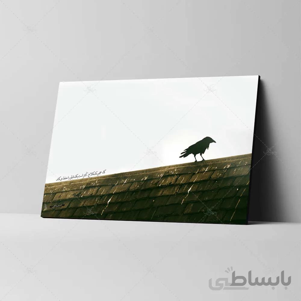 تابلو شاسی طرح گاه حجم یک کلاغ، کنتراست یک تابلو را حفظ می‌کند کد 4G46