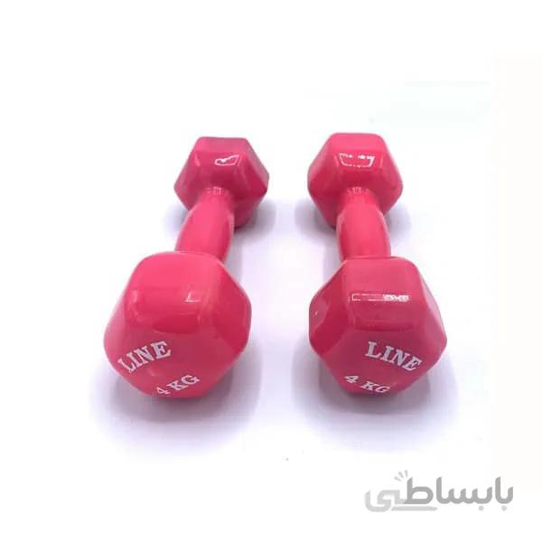 دمبل لاین 4 کیلوگرم 2 عددی