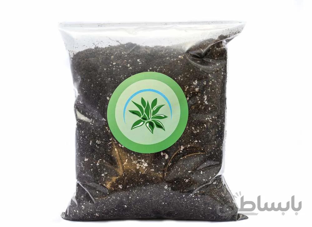 خاک برگ