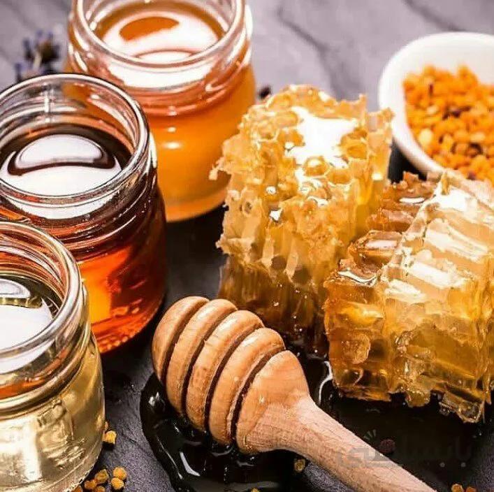 عسل درختی بدون موم کد 13253258031