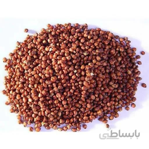 بذر سورگوم قرمز