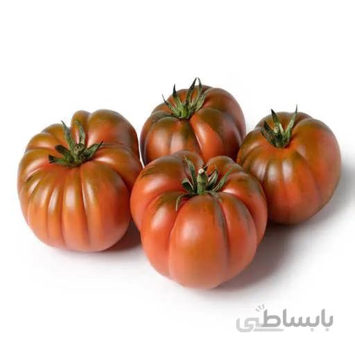 بذر گوجه فرنگی موچامیل سبز