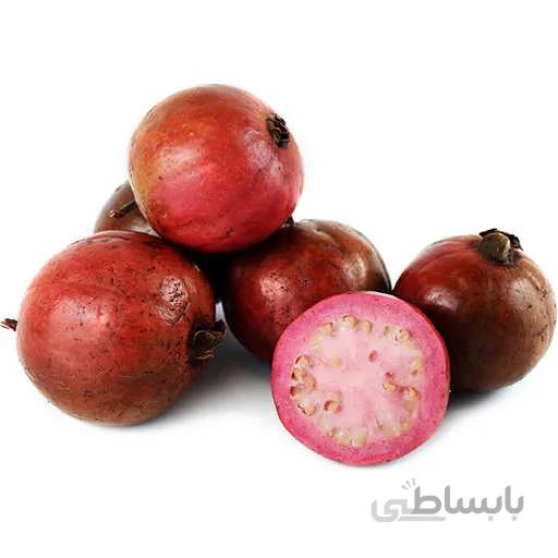 بذر درخت گواوا قرمز گیلاسی
