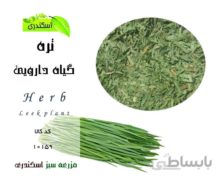 گیاه تره