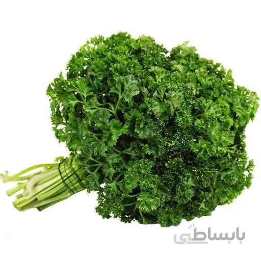 بذر جعفری خزه فر