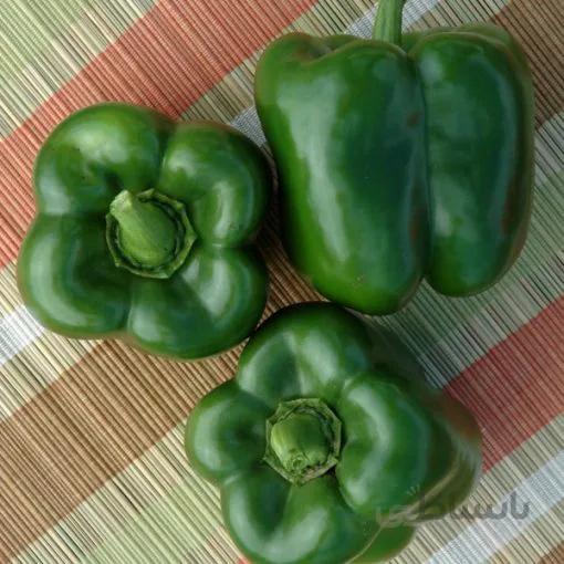 بذر فلفل دلمه سبز پی اس بسته ۲۰ عددی