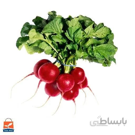 بذر تربچه کامت