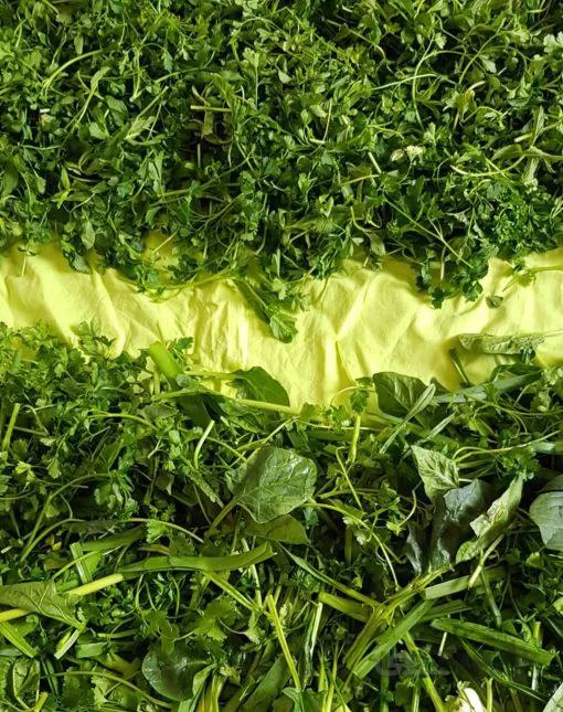 سبزی آش یک کیلو – ارسال فقط برای تهران