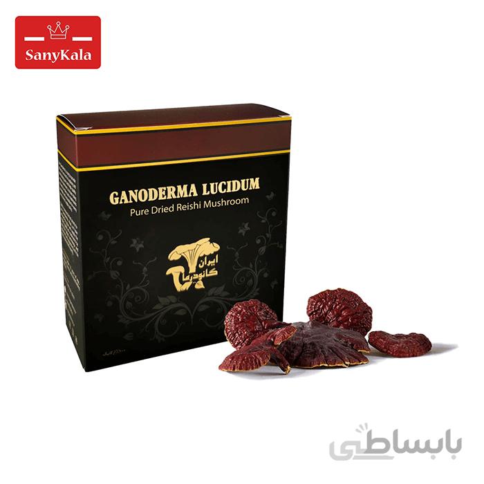 قارچ گانودرما لوسیدم آسیاب نشده (درجه 1) ا Ganoderma fungus not ground (grade 1)