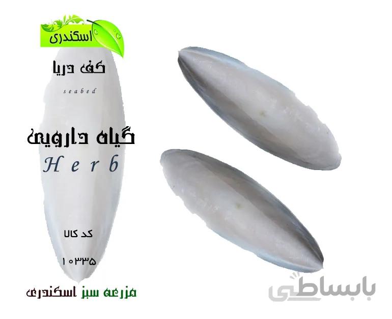کف دریا اصل