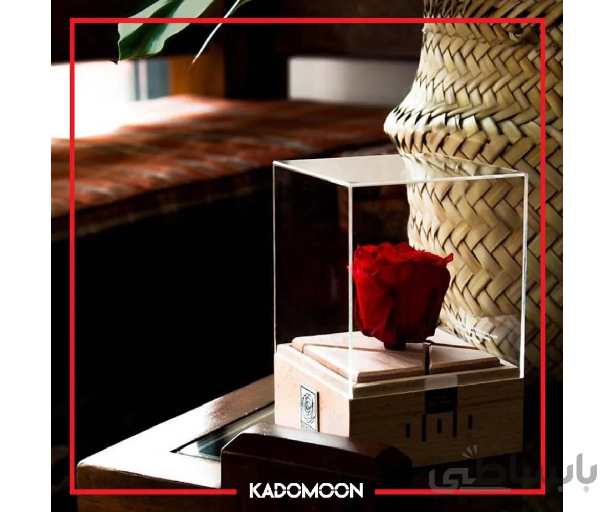 باکس رز جاودان موزیکال کوکی