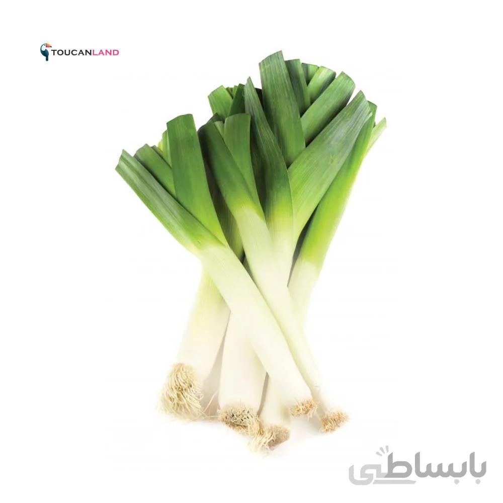 بذر تره فرنگی