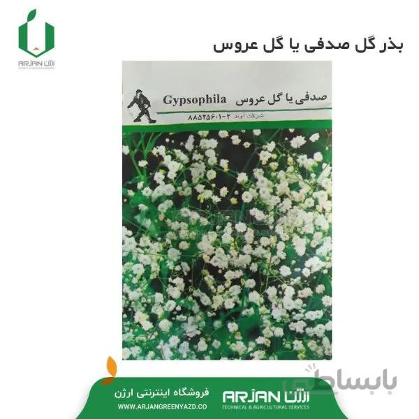 بذر گل صدفی یا گل عروس 5 گرمی