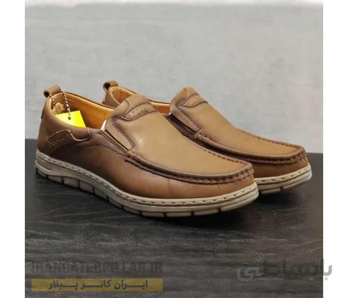 کفش طبی و چرم مردانه Redwood17123078-n