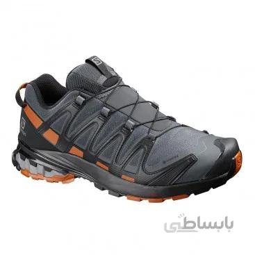 کفش تریال رانینگ سالومون مدل XA PRO 3D v8 GORE-TEX کد 409892