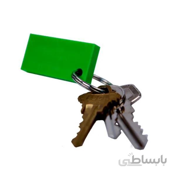 جاسوئیچی دومینو