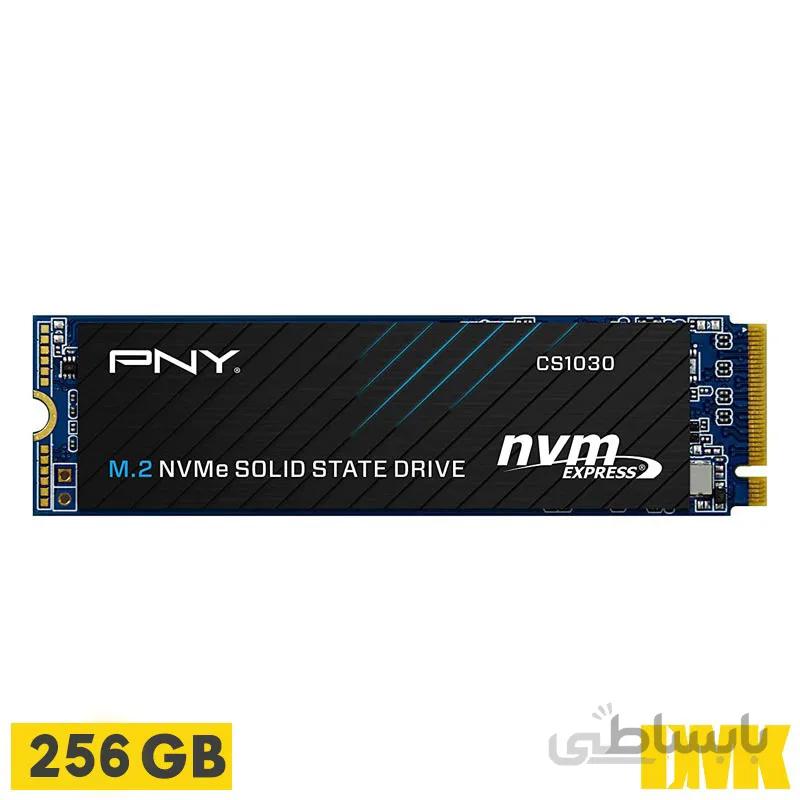 اس اس دی پی ان وای مدل CS1030 مدل M.2 ظرفیت 256گیگابایت