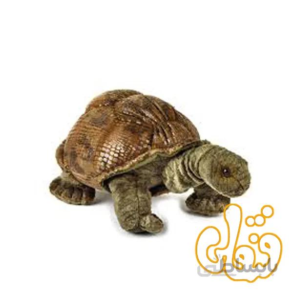 لاک پشت غول پیکر 770802