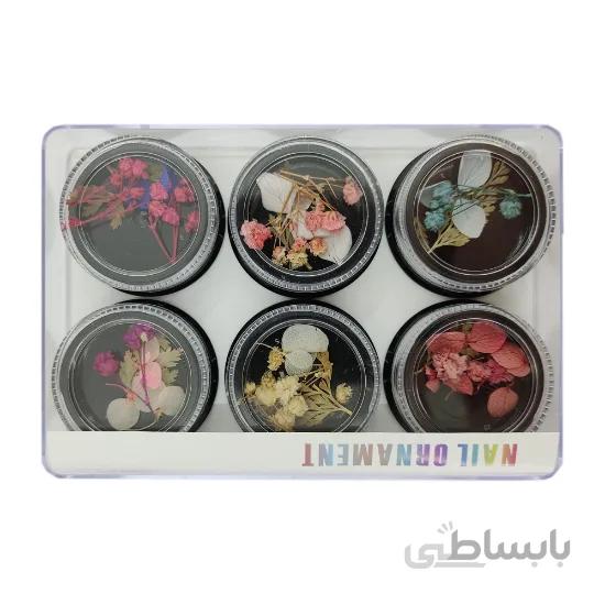 پالت گل خشک 6 عددی شماره 4