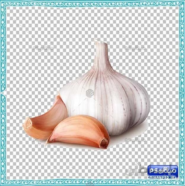 طرح سیر سفره هفت سین