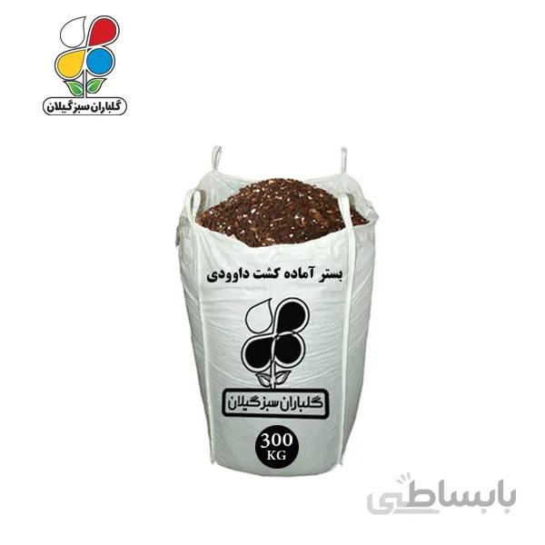 بستر آماده کشت داوودی عمده 300 کیلویی