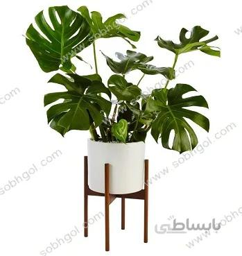 برگ انجیری طرح SB01