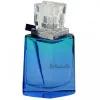Remy Marquis - Shalis for men