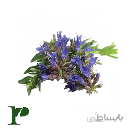گیاه زوفا بستهی 50 گرمی